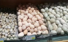 龙岩蛋制品供应商